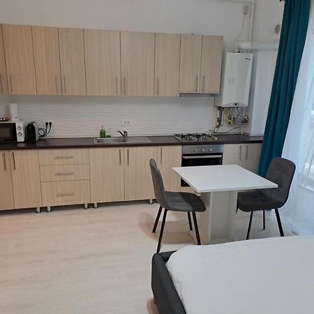 טימישוארה Visaj Residence מראה חיצוני תמונה
